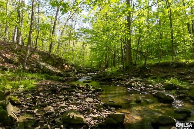 705 Webb Town Rd, Tunnel Hill, IL 62972 - photo 28