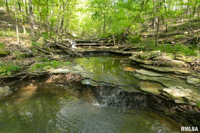 705 Webb Town Rd, Tunnel Hill, IL 62972 - photo 29