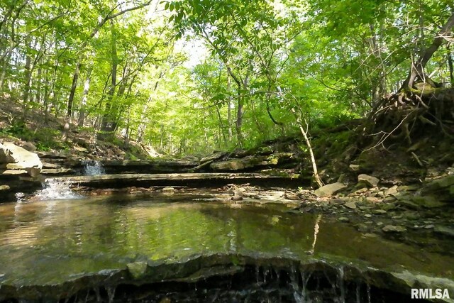705 Webb Town Rd, Tunnel Hill, IL 62972 - photo 30