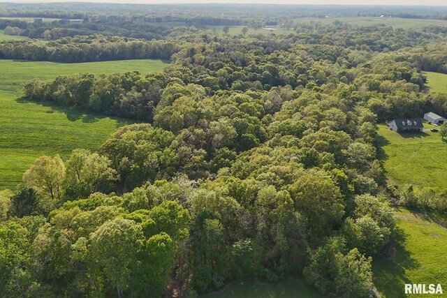 705 Webb Town Rd, Tunnel Hill, IL 62972 - photo 4