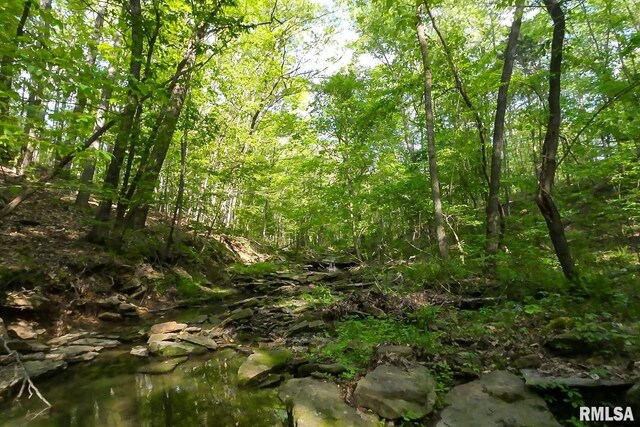 705 Webb Town Rd, Tunnel Hill, IL 62972 - photo 31