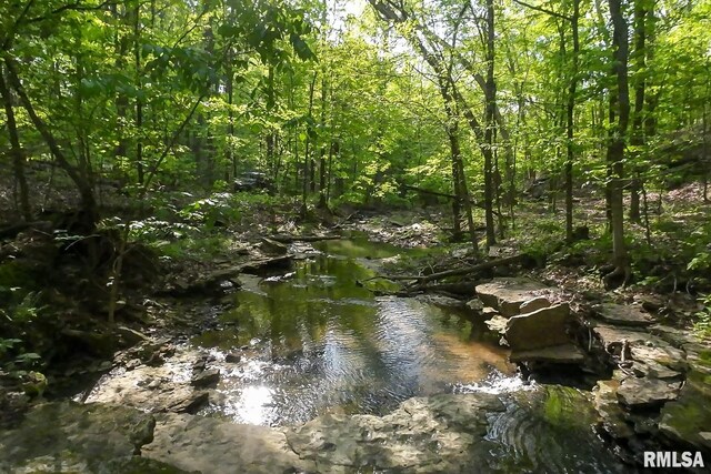 705 Webb Town Rd, Tunnel Hill, IL 62972 - photo 33