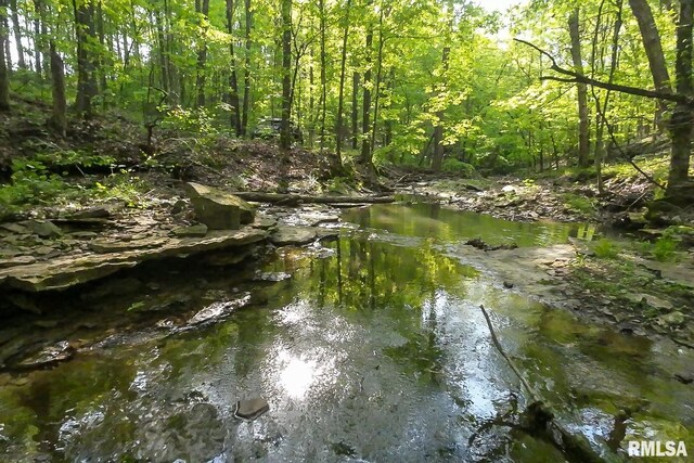 705 Webb Town Rd, Tunnel Hill, IL 62972 - photo 34