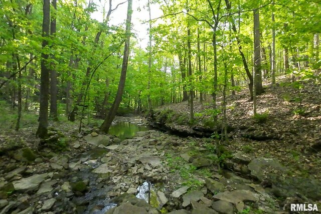 705 Webb Town Rd, Tunnel Hill, IL 62972 - photo 36