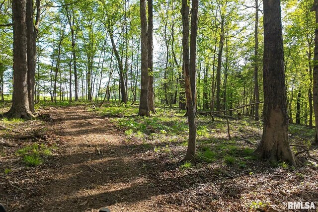 705 Webb Town Rd, Tunnel Hill, IL 62972 - photo 40