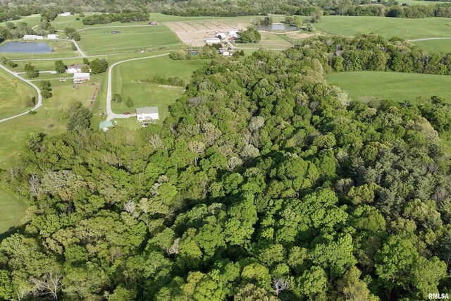 705 Webb Town Rd, Tunnel Hill, IL 62972 - photo 5