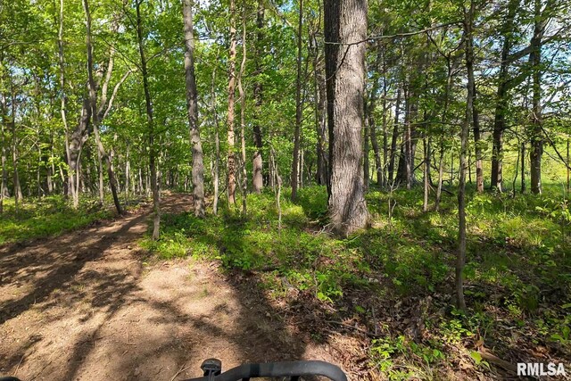 705 Webb Town Rd, Tunnel Hill, IL 62972 - photo 41