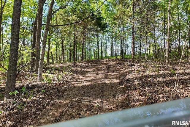 705 Webb Town Rd, Tunnel Hill, IL 62972 - photo 42