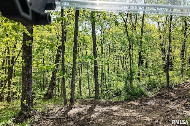 705 Webb Town Rd, Tunnel Hill, IL 62972 - photo 43
