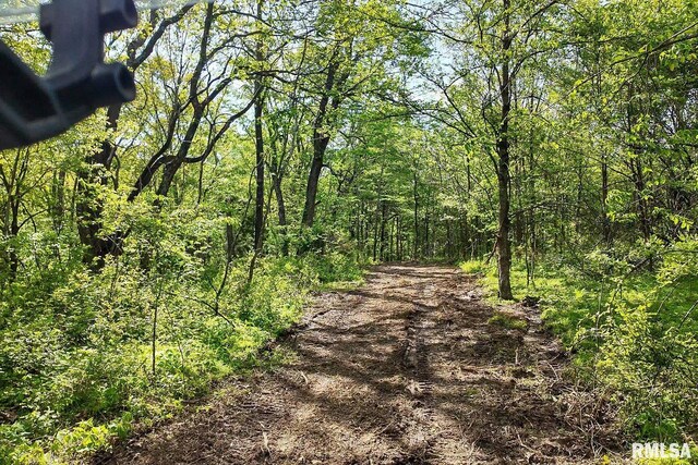 705 Webb Town Rd, Tunnel Hill, IL 62972 - photo 45