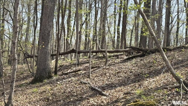 705 Webb Town Rd, Tunnel Hill, IL 62972 - photo 47