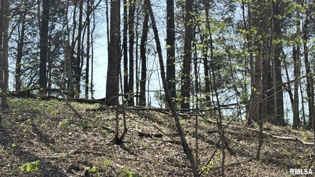 705 Webb Town Rd, Tunnel Hill, IL 62972 - photo 48