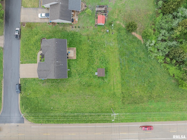 bird's eye view