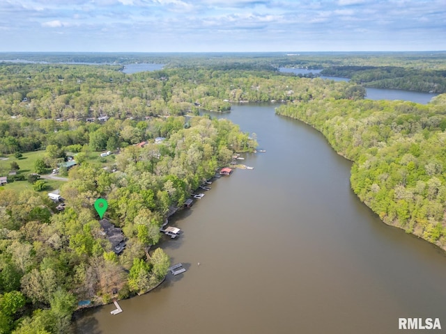 bird's eye view with a water view and a wooded view