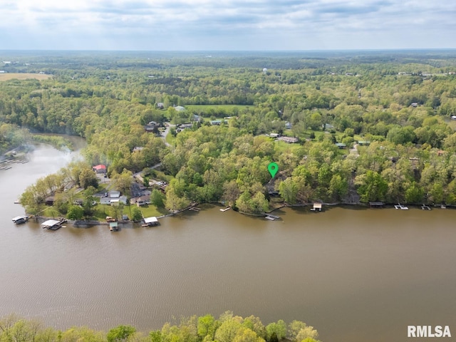 bird's eye view featuring a water view and a view of trees