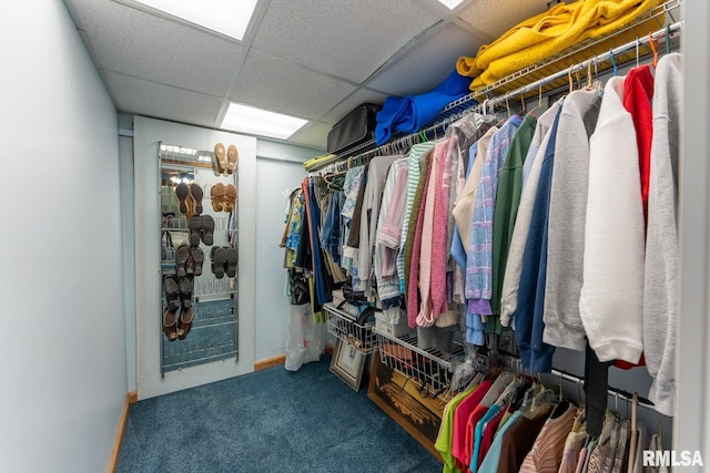 spacious closet featuring carpet floors and a paneled ceiling