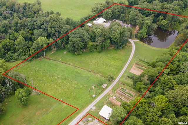 4339 State Route 127th Hwy, Pinckneyville, IL 62274 - photo 59
