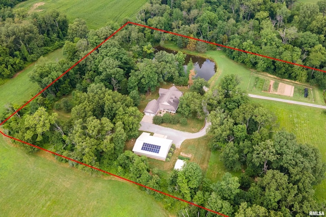 4339 State Route 127th Hwy, Pinckneyville, IL 62274 - photo 60