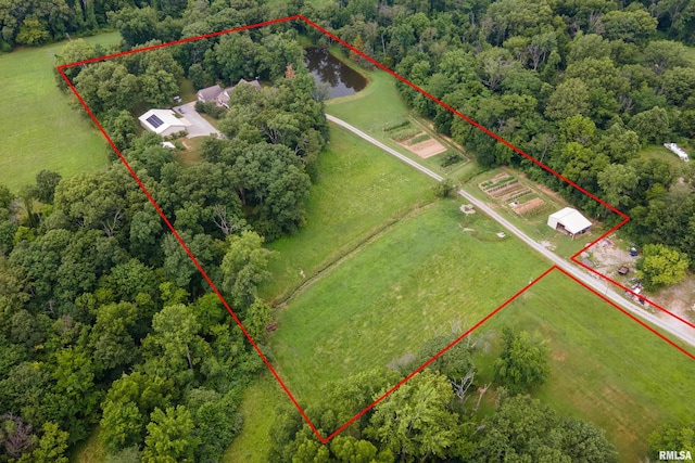 4339 State Route 127th Hwy, Pinckneyville, IL 62274 - photo 7