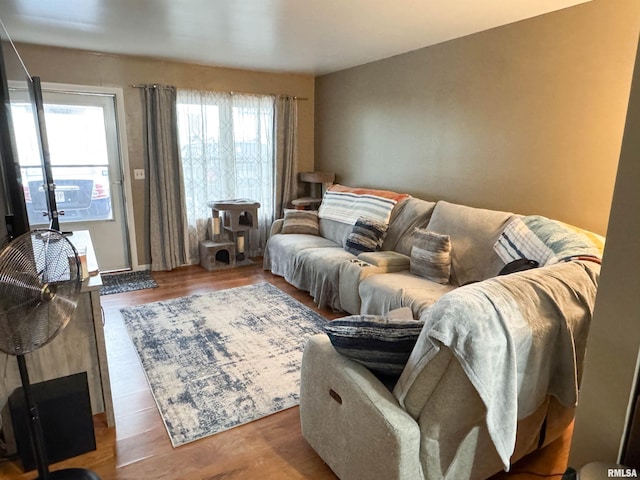 101 E Spring St, Anna, IL 62906 - living room with wood finished floors