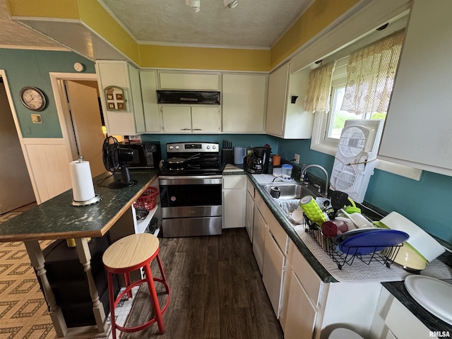 970 Beech Rd, Duquoin, IL 62832 - kitchen with stainless steel range with electric cooktop, a sink, ventilation hood, black microwave, and ornamental molding