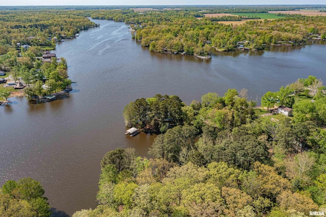 drone / aerial view with a water view and a view of trees