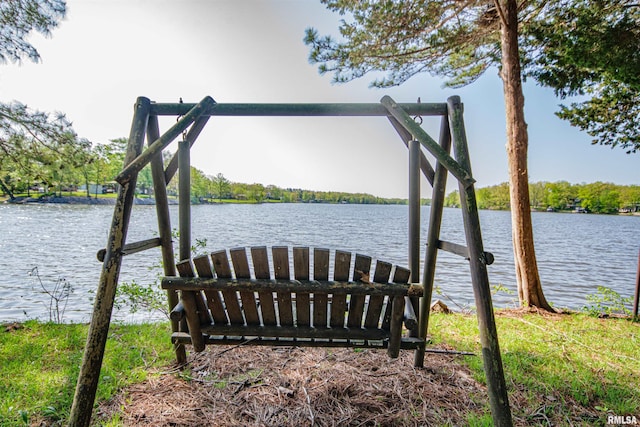 dock area with a water view