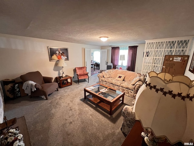 carpeted living room with a textured ceiling