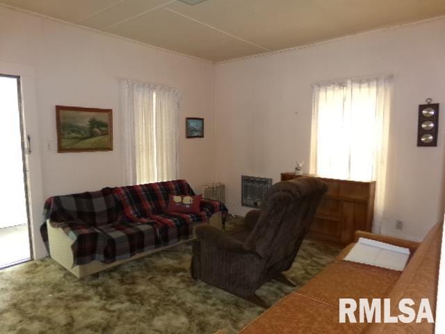 200 3rd St, Rosiclare, IL 62982 - living room featuring heating unit and carpet floors