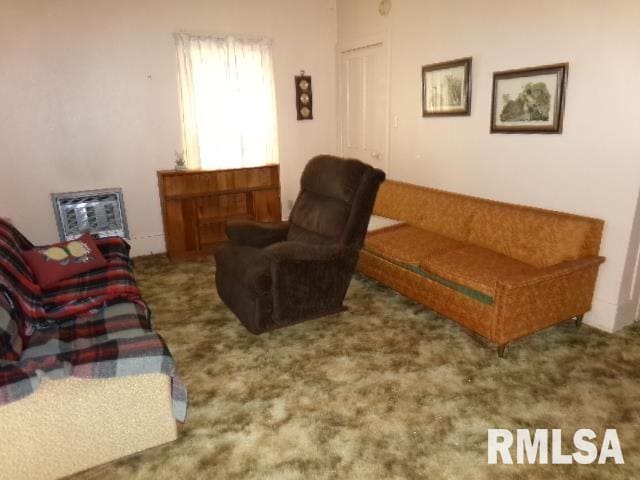 200 3rd St, Rosiclare, IL 62982 - living area featuring heating unit and carpet