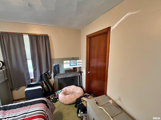 bedroom with carpet