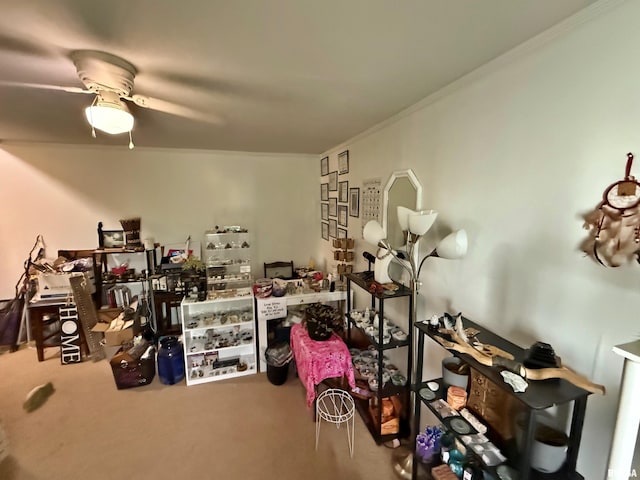 miscellaneous room with crown molding, ceiling fan, and carpet