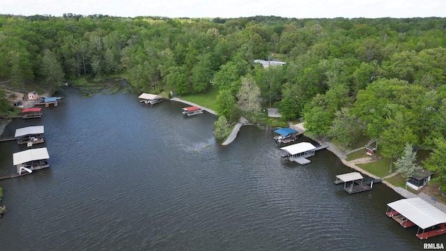 aerial view featuring a water view and a wooded view