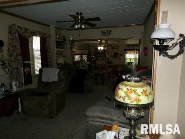 217 Trammel Rd, Carrier Mills, IL 62917 - living room with a ceiling fan and carpet flooring