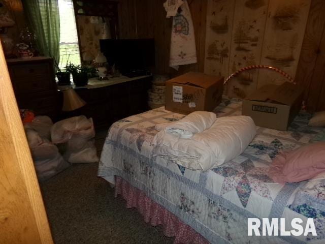 217 Trammel Rd, Carrier Mills, IL 62917 - view of bedroom