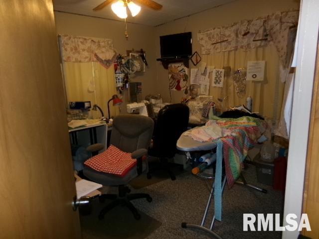 217 Trammel Rd, Carrier Mills, IL 62917 - bedroom with carpet floors and a ceiling fan