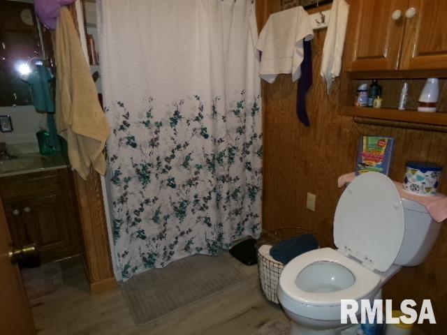 217 Trammel Rd, Carrier Mills, IL 62917 - bathroom featuring wood finished floors, toilet, a shower with shower curtain, and vanity
