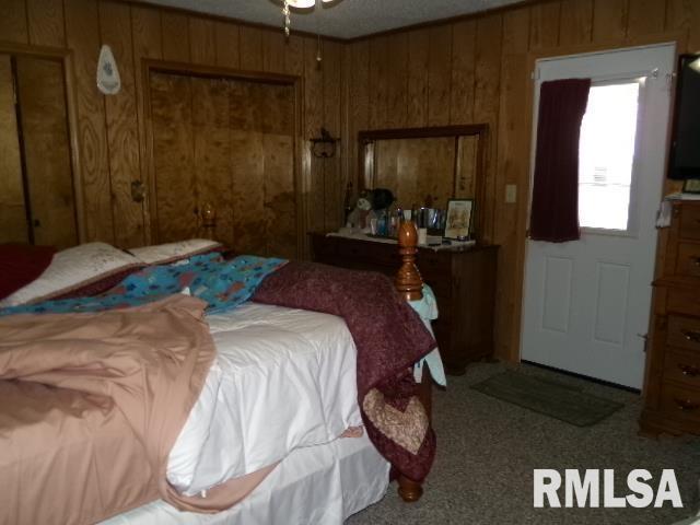 217 Trammel Rd, Carrier Mills, IL 62917 - carpeted bedroom featuring wooden walls
