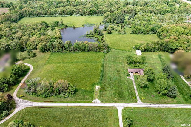 16123 N Hickory Ln, Woodlawn, IL 62898 - birds eye view of property with a water view