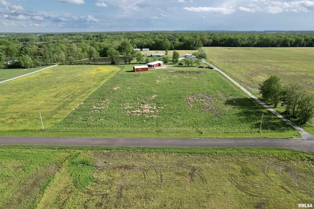 1821 Zion Hill Rd, Centralia, IL 62801 - overview of rural landscape with agricultural land