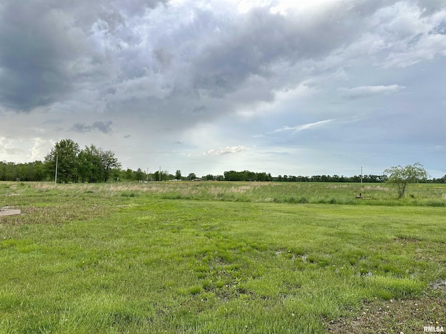 1821 Zion Hill Rd, Centralia, IL 62801 - view of yard featuring a rural view