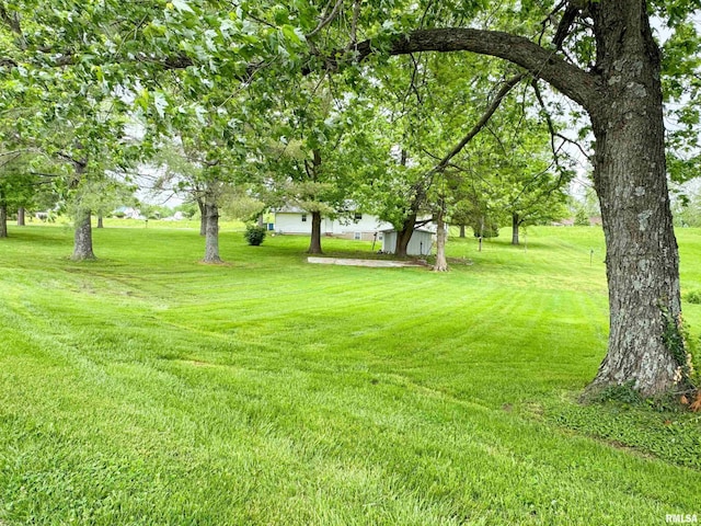 view of yard