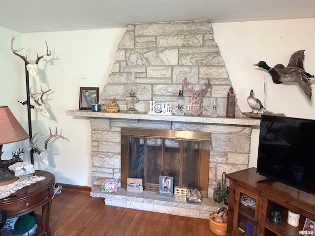 details featuring baseboards, a stone fireplace, and wood finished floors