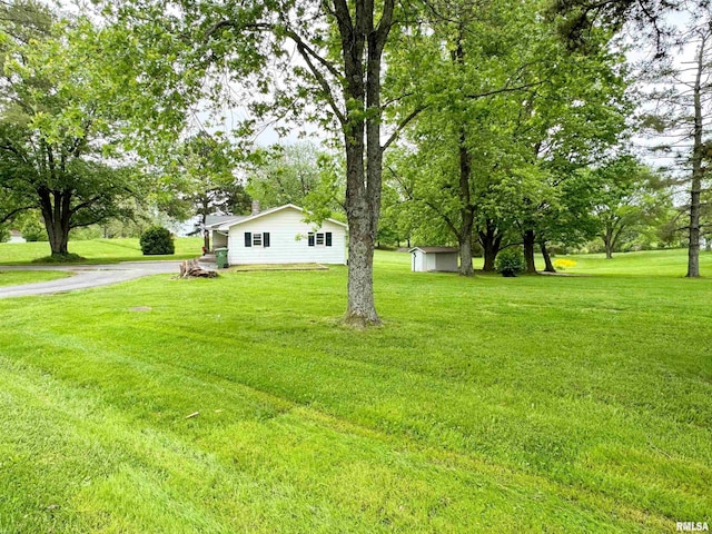 view of yard with an outdoor structure and a shed