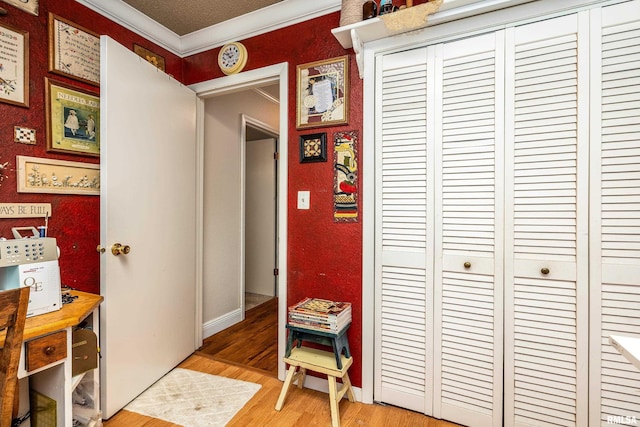 24 Karen Dr, Christopher, IL 62822 - hall with crown molding and light wood-type flooring