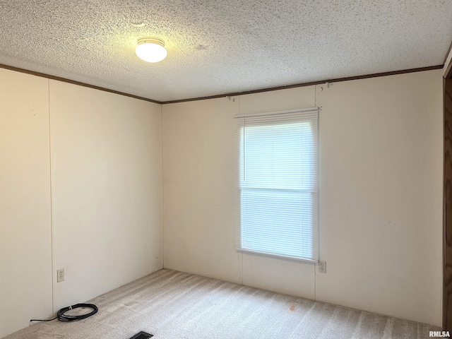 spare room with a textured ceiling, carpet, and plenty of natural light