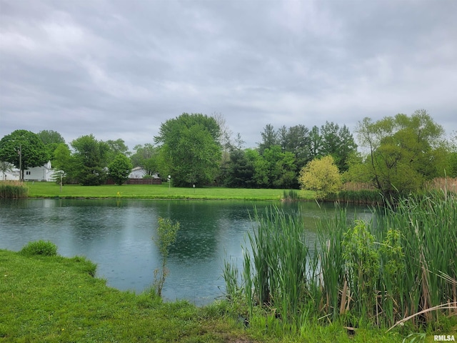 325 W N St, Dix, IL 62830 - view of water feature