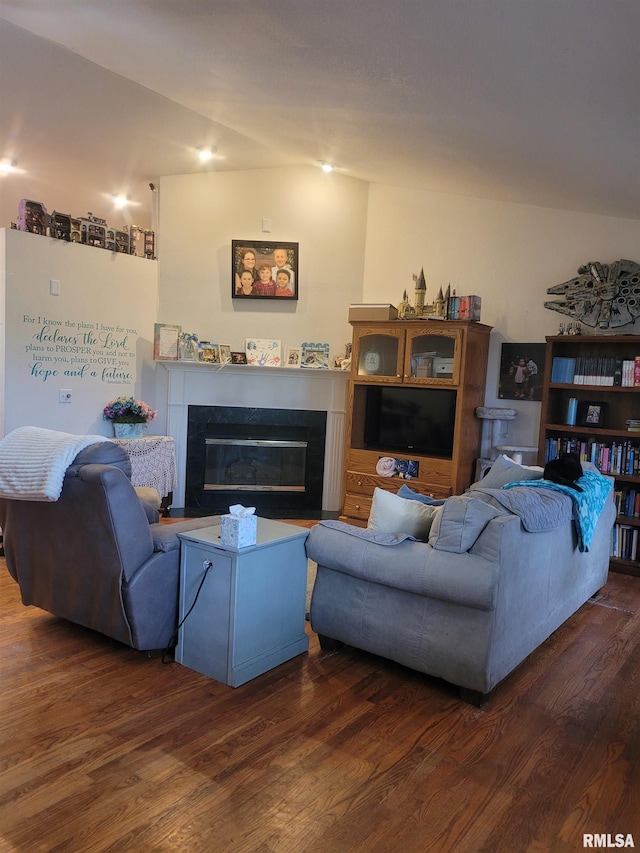 325 W N St, Dix, IL 62830 - living room featuring dark wood finished floors and a glass covered fireplace