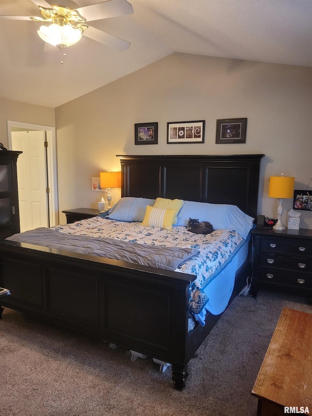 325 W N St, Dix, IL 62830 - bedroom with lofted ceiling, carpet flooring, and ceiling fan