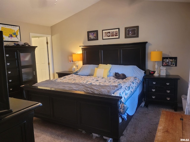 325 W N St, Dix, IL 62830 - bedroom featuring dark carpet